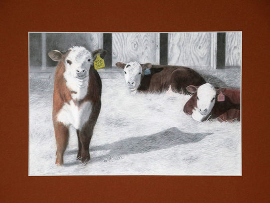 All Tucked In - Color Tint