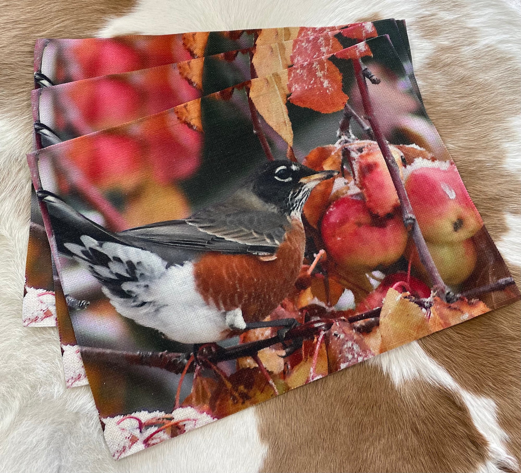 Thanksgiving Robins Placemats