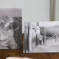 The Bull Pen Collection - Art Notecards