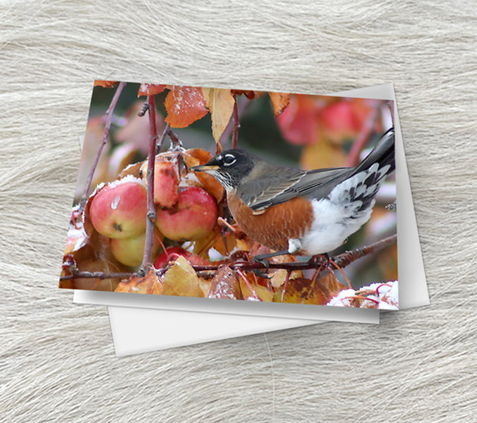 Thanksgiving Robins Note cards